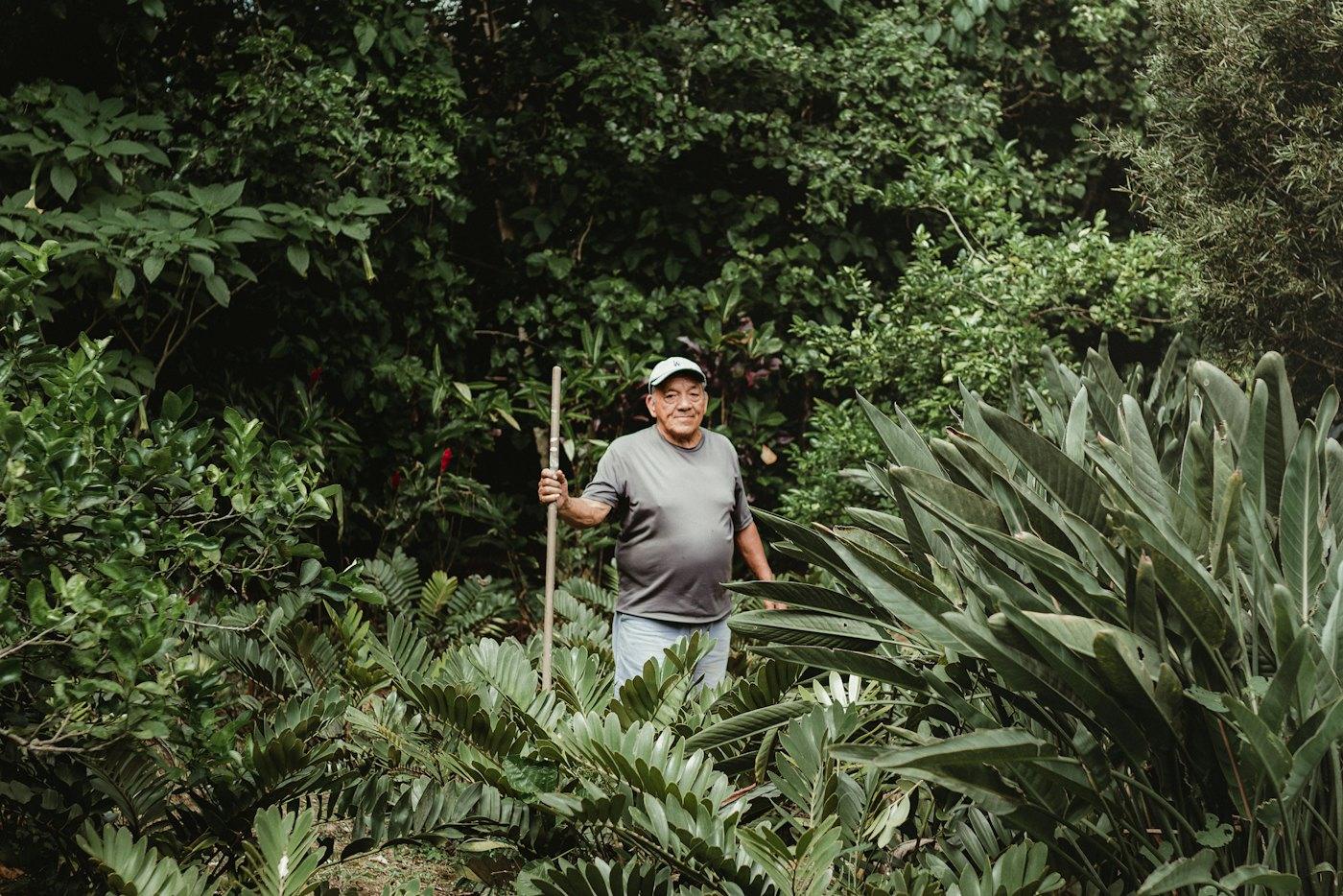 Caficultor entre cafetales en una finca salvadoreña